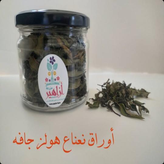 أوراق نعناع هولز جافه