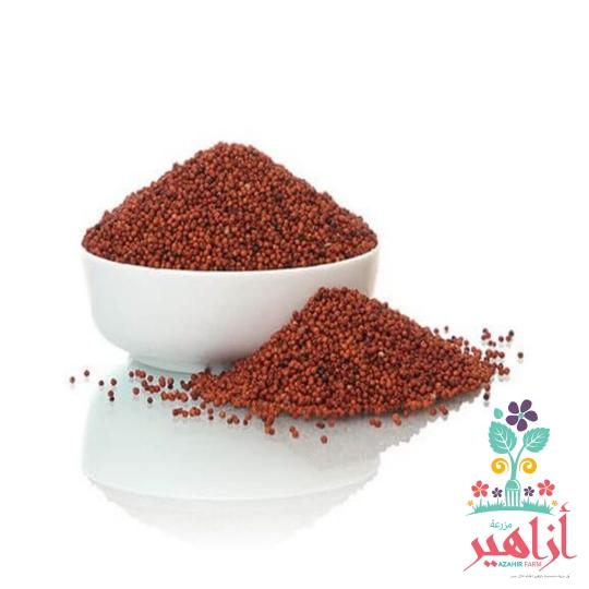 بذور حب الرشاد