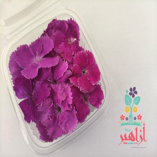 زهر قرنفل موف
