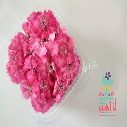 .زهور القرنفل - بينك
