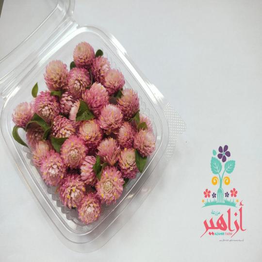 زهور بون بون بينك