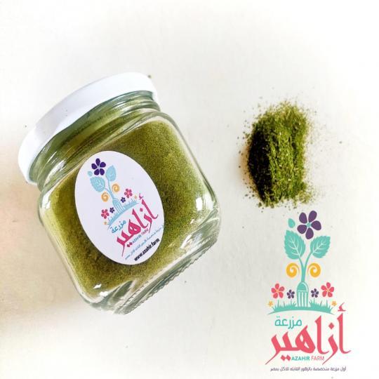 مورينجا مجففة - بودر.